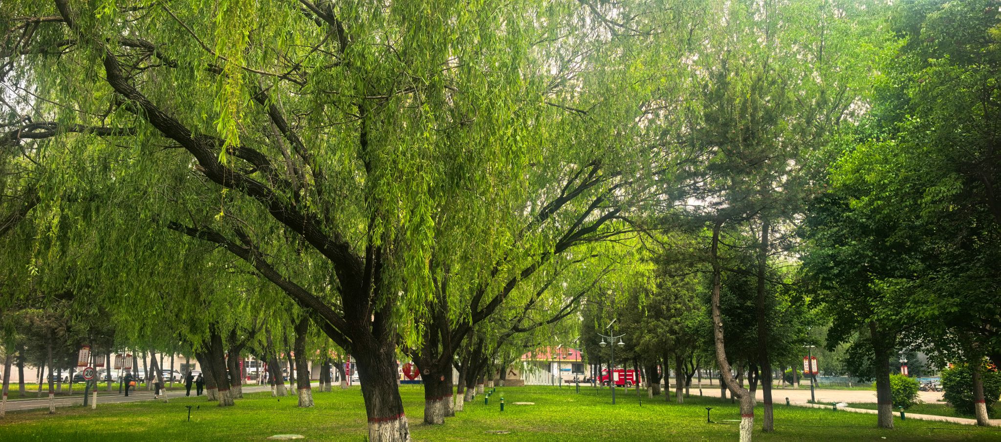 校園風(fēng)景