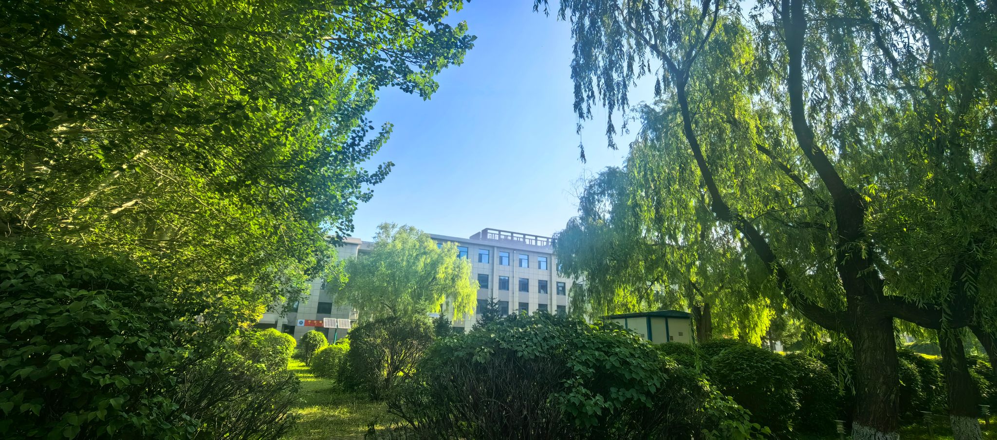 校園風(fēng)景